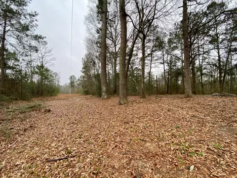 163 Scr 30a, Mount Olive, MS 39119 photo 3