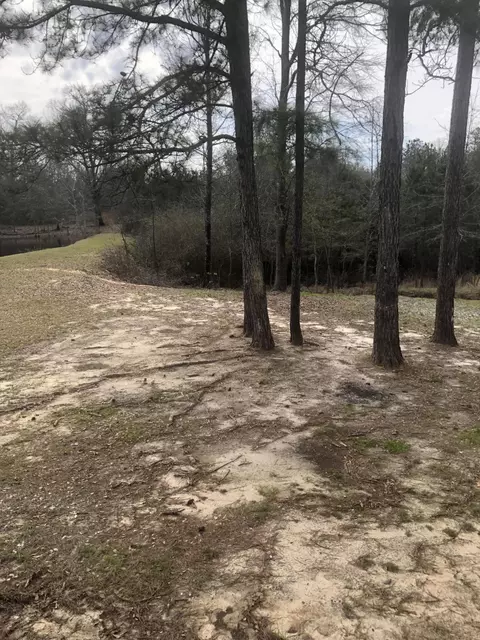 80 Gatlin Jordon Rd, Laurel, MS 39443 photo 17