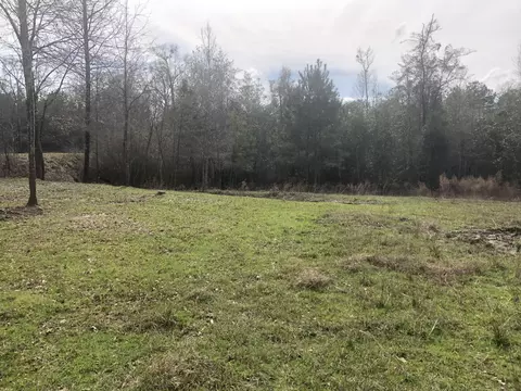 80 Gatlin Jordon Rd, Laurel, MS 39443 photo 22