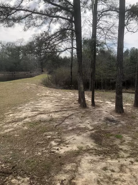 80 Gatlin Jordon Rd, Laurel, MS 39443 photo 15