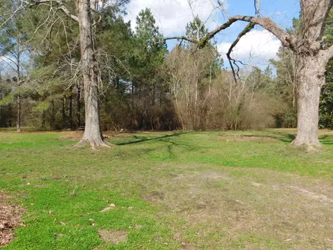 417 Hillcrest Loop, Petal, MS 39465 photo 18