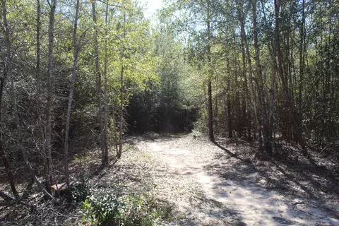 22 Stringer Loop, Foxworth, MS 39483 photo 27