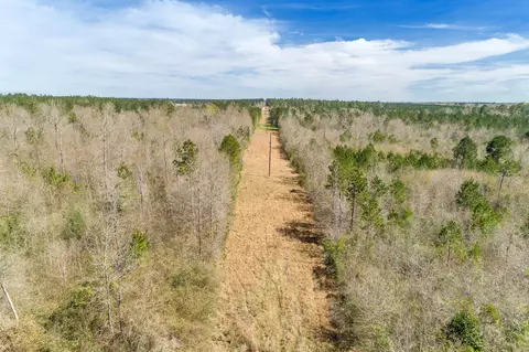 243 Simms Rd, Sumrall, MS 39482 photo 11