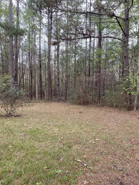 172 Desoto Rd, Mchenry, MS 39561 photo 13