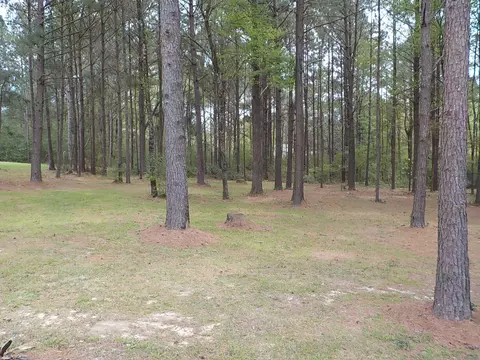 659 Scruggs Rd, Sumrall, MS 39482 photo 6