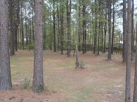 659 Scruggs Rd, Sumrall, MS 39482 photo 5