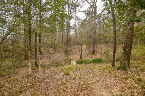 21 Green Timber Loop, Purvis, MS 39475 photo 32