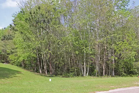 50 S Windridge Loop, Purvis, MS 39475 photo 34