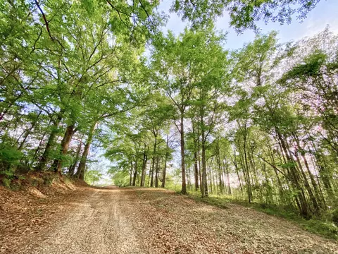 143 Doc Gore, Sumrall, MS 39482 photo 35
