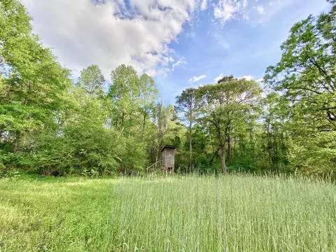 143 Doc Gore, Sumrall, MS 39482 photo 34