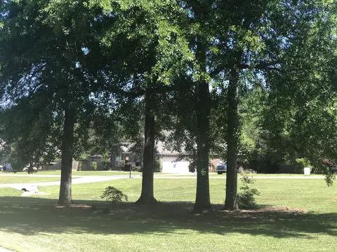 146 Latigo Loop, Sumrall, MS 39482 photo 38