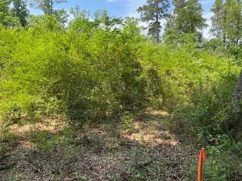 29 Manning Dr, Laurel, MS 39443 photo 3