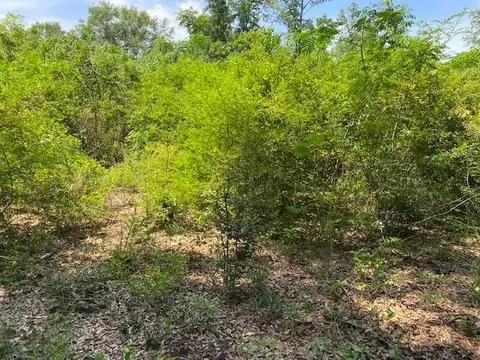 29 Manning Dr, Laurel, MS 39443 photo 2