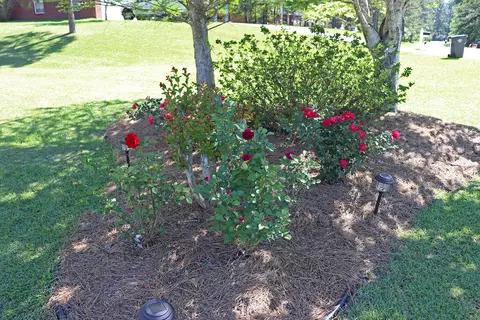 57 Timber Rdg, Purvis, MS 39475 photo 27