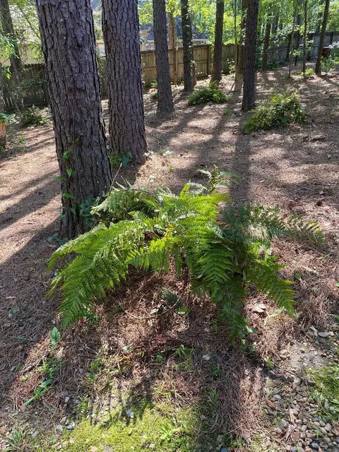 11 Pine Ridge Cir, Purvis, MS 39475 photo 27