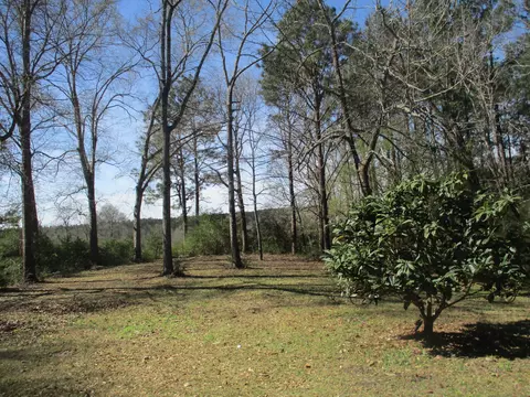75 N Patten Rd, Sandy Hook, MS 39478 photo 4