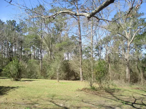 75 N Patten Rd, Sandy Hook, MS 39478 photo 3