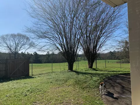911 Old Salt, Sumrall, MS 39482 photo 30