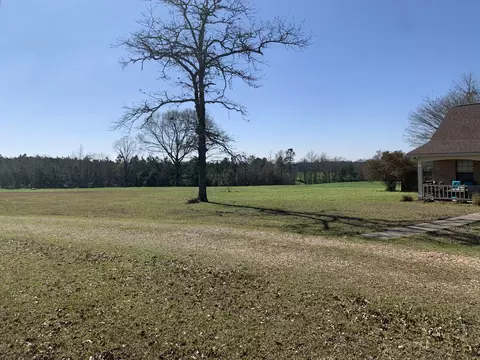 911 Old Salt, Sumrall, MS 39482 photo 33