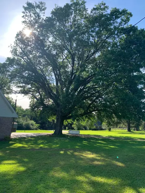 911 Old Salt, Sumrall, MS 39482 photo 3