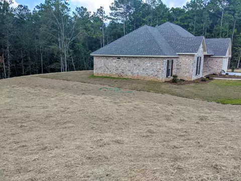 12 Forest Ridge Dr, Petal, MS 39465 photo 3