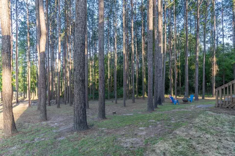 5 Timber Rdg, Purvis, MS 39475 photo 8