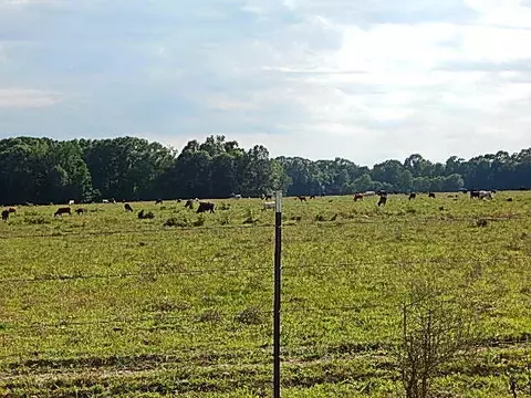 2467 River Rd, Silver Creek, MS 39663 photo 26