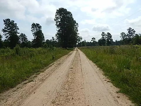 2467 River Rd, Silver Creek, MS 39663 photo 49