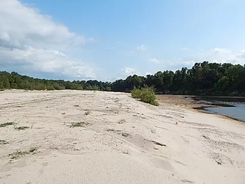 2467 River Rd, Silver Creek, MS 39663 photo 38