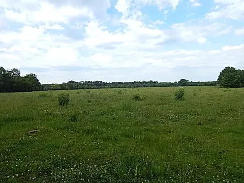 2467 River Rd, Silver Creek, MS 39663 photo 17