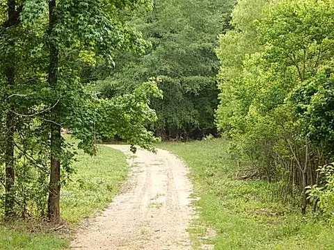 2467 River Rd, Silver Creek, MS 39663 photo 20