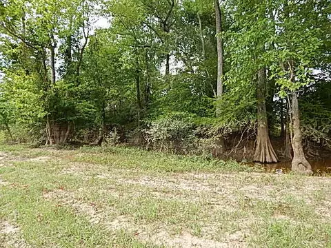 2467 River Rd, Silver Creek, MS 39663 photo 23