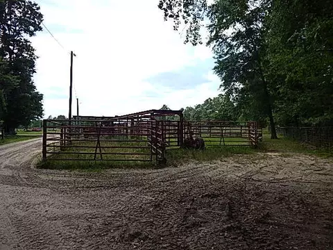 2467 River Rd, Silver Creek, MS 39663 photo 8