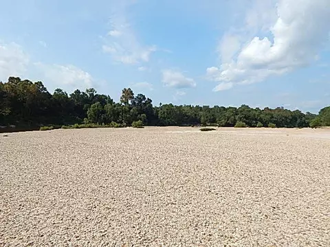 2467 River Rd, Silver Creek, MS 39663 photo 31
