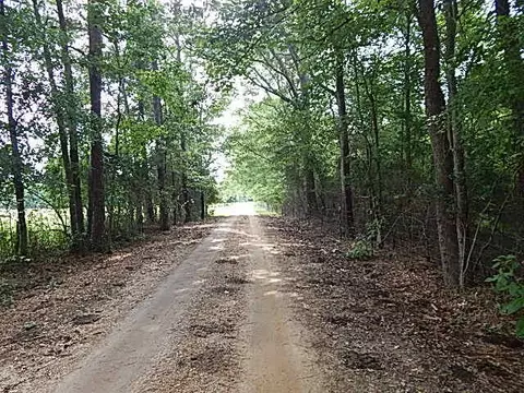 2467 River Rd, Silver Creek, MS 39663 photo 7