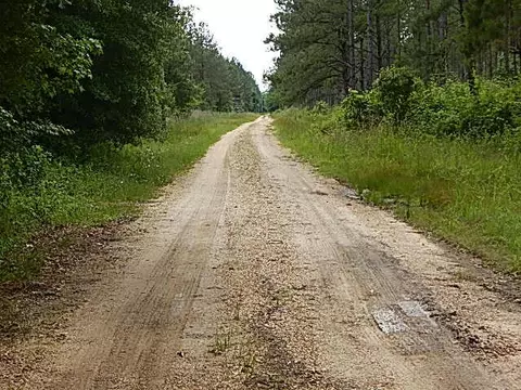 2467 River Rd, Silver Creek, MS 39663 photo 28