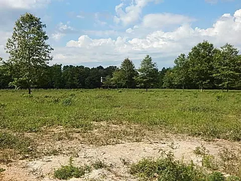 2467 River Rd, Silver Creek, MS 39663 photo 12
