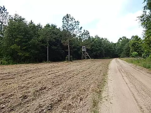 2467 River Rd, Silver Creek, MS 39663 photo 48