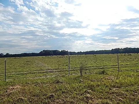 2467 River Rd, Silver Creek, MS 39663 photo 25