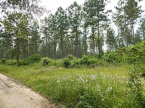 2467 River Rd, Silver Creek, MS 39663 photo 6