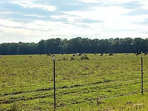 2467 River Rd, Silver Creek, MS 39663 photo 27