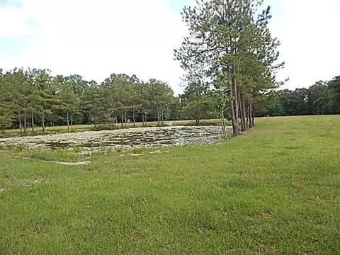 2467 River Rd, Silver Creek, MS 39663 photo 24