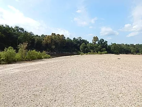 2467 River Rd, Silver Creek, MS 39663 photo 33