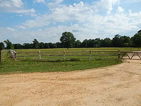 2467 River Rd, Silver Creek, MS 39663 photo 4