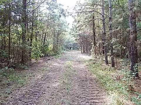2467 River Rd, Silver Creek, MS 39663 photo 29