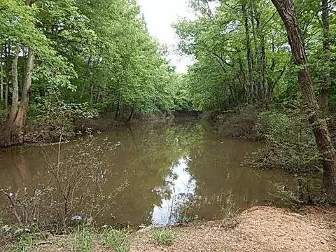 2467 River Rd, Silver Creek, MS 39663 photo 22