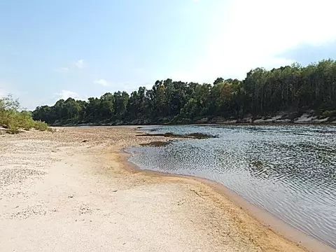 2467 River Rd, Silver Creek, MS 39663 photo 39