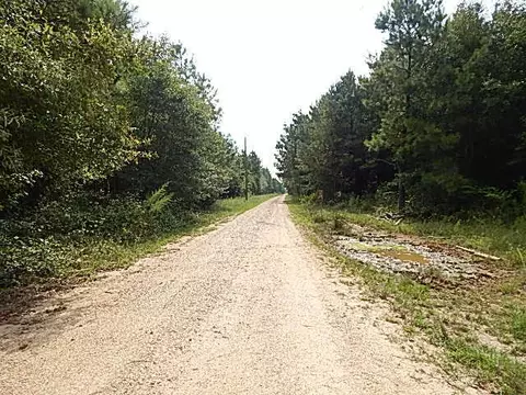 2467 River Rd, Silver Creek, MS 39663 photo 40