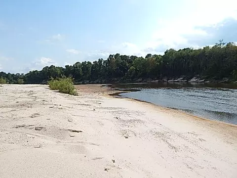 2467 River Rd, Silver Creek, MS 39663 photo 37