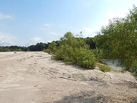 2467 River Rd, Silver Creek, MS 39663 photo 35
